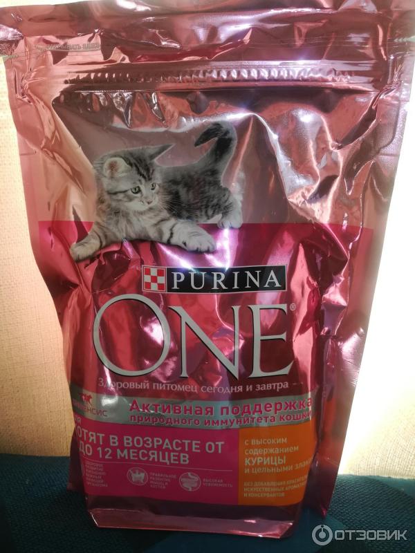 Корм для котят Purina One фото