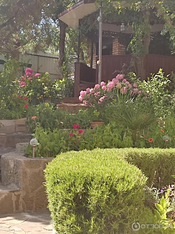 Отдых в Кацивели (Крым) фото