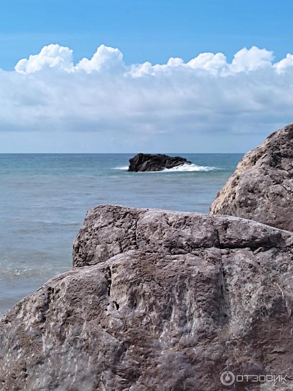 Отдых в Кацивели (Крым) фото