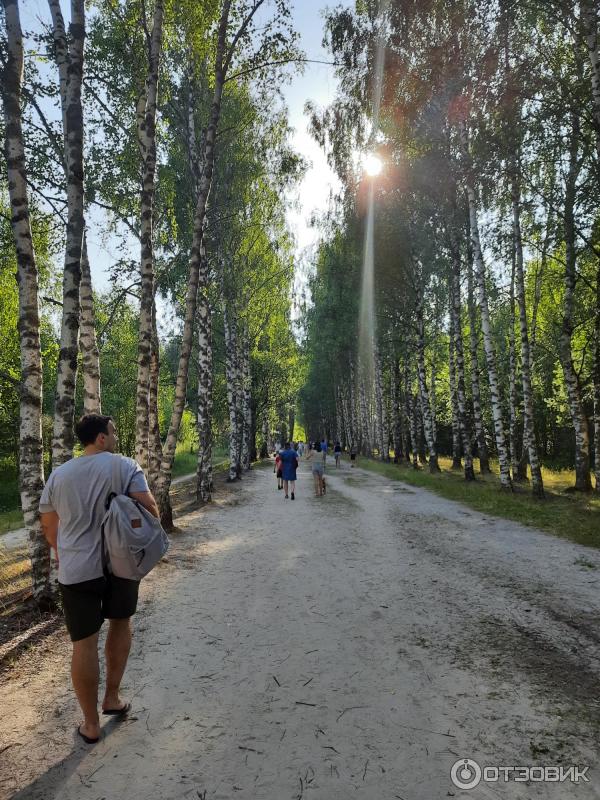 Озеро Светлояр (Россия, Нижегородская область) фото