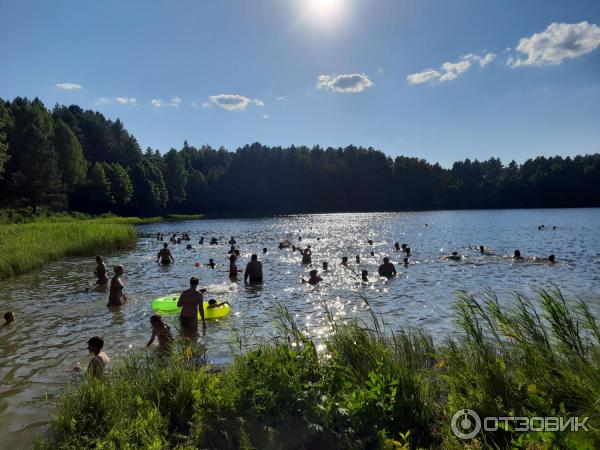 Озеро Светлояр (Россия, Нижегородская область) фото