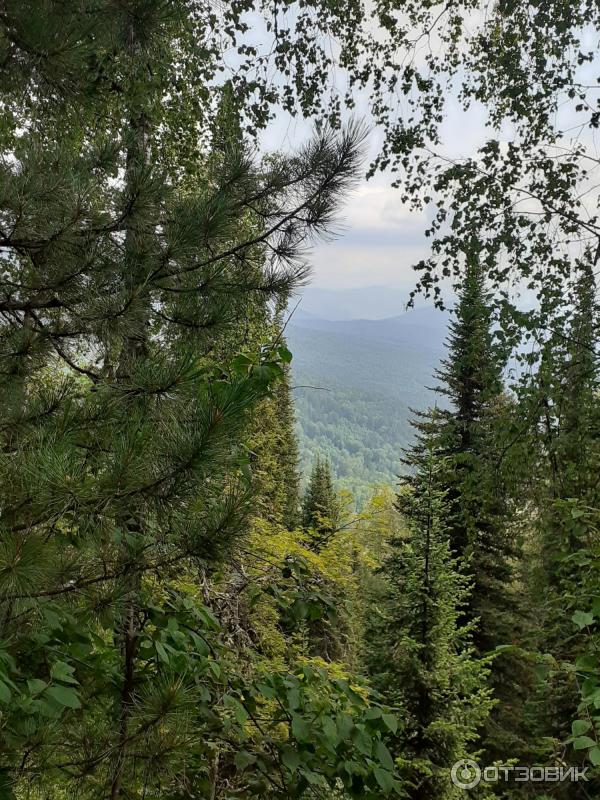 Путешествие по Горному Алтаю (Россия, Алтай) фото