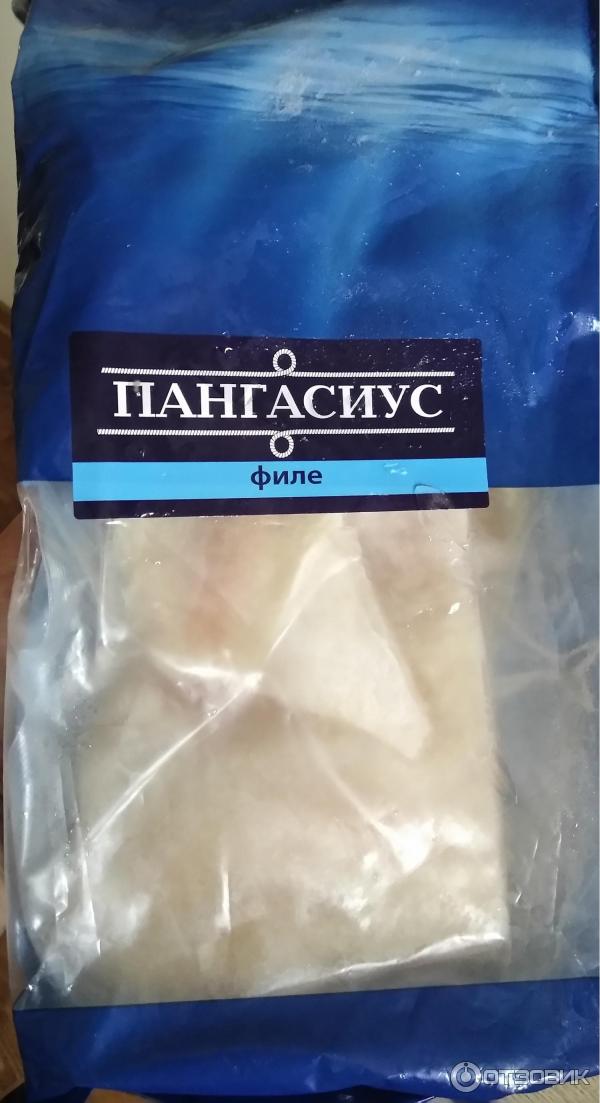 пангасиус