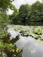 Отдых в Калининграде (Россия, Калининградская область) фото