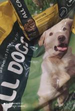 Корм для собак All dogs фото