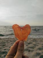 Чипсы мясные Альмак фото