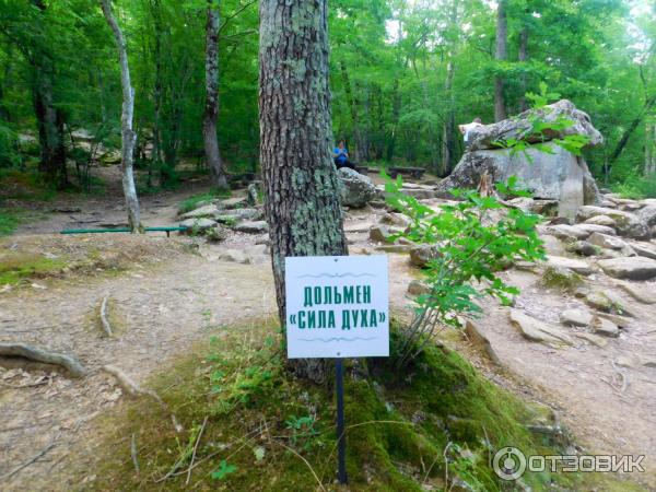 Отдых на реке Жане (Россия, Краснодарский край) фото