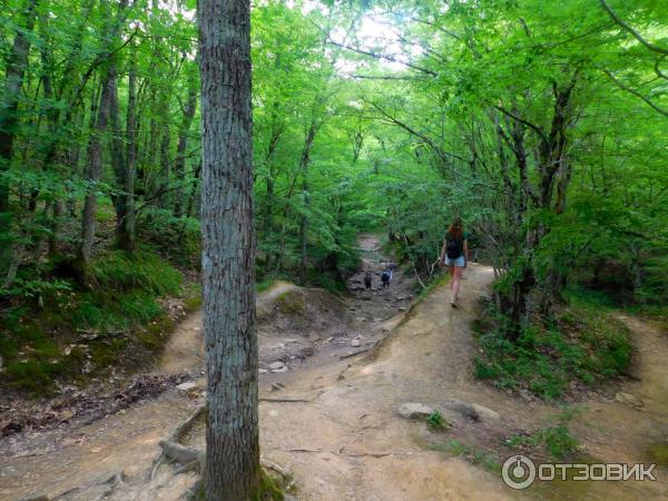 Отдых на реке Жане (Россия, Краснодарский край) фото