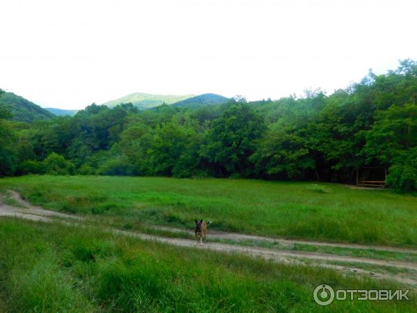 Отдых на реке Жане (Россия, Краснодарский край) фото