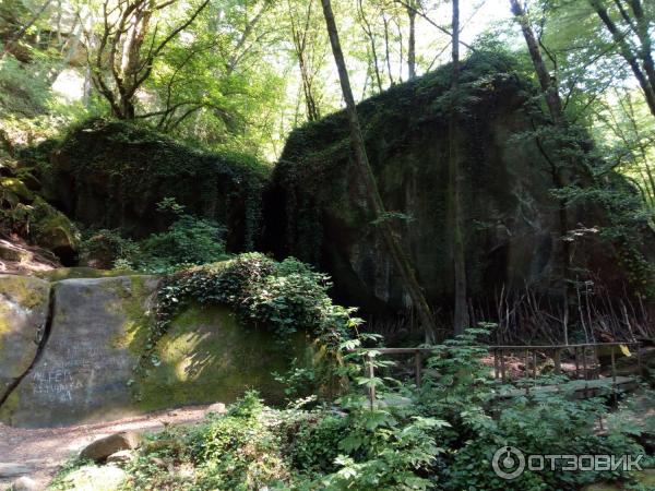 Волконский дольмен (Россия, Краснодарский край) фото