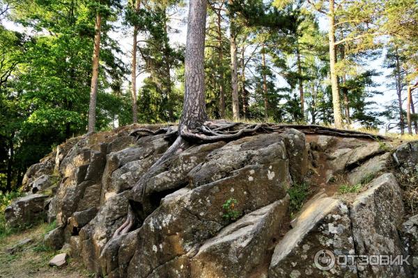 Путешествие на остров Валаам фото