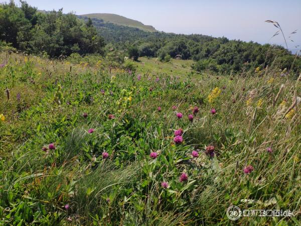 Гора Кара-Тау (Россия, Крым) фото