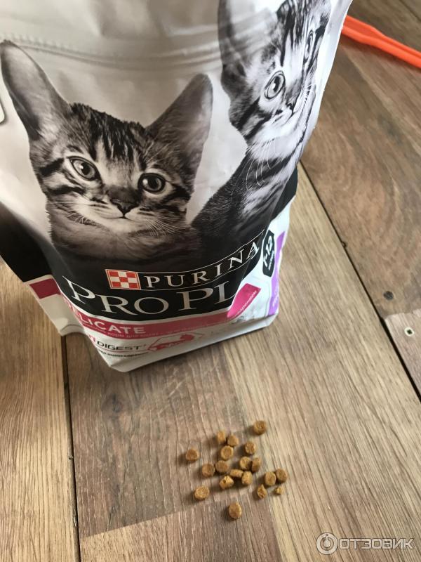 Сухой корм для котят Purina Pro Plan Delicate Junior фото