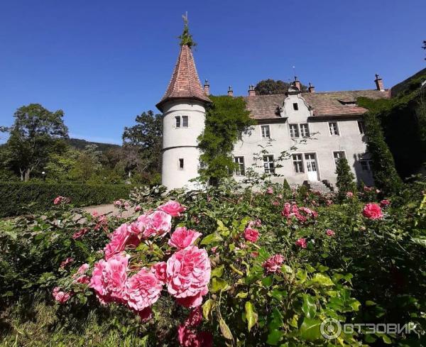 Замок графа Шенборна (Украина, Закарпатская обл.) фото