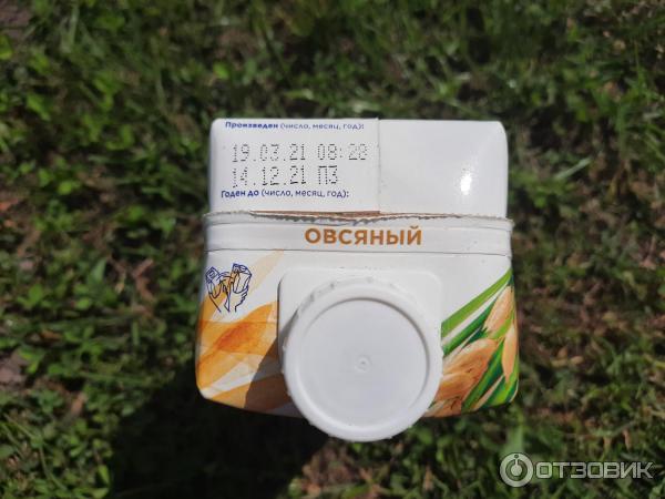 Напиток овсяный Alpro OAT original фото