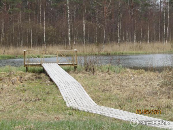 Музей-усадьба Н. К. Рериха в Изваре (Россия, Ленинградская область) фото