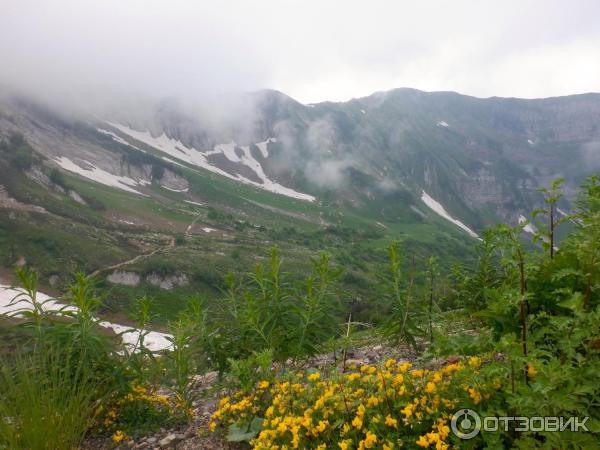 Снег и цветы в горах