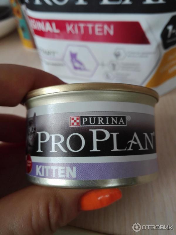 Корм для котят Purina Pro Plan фото