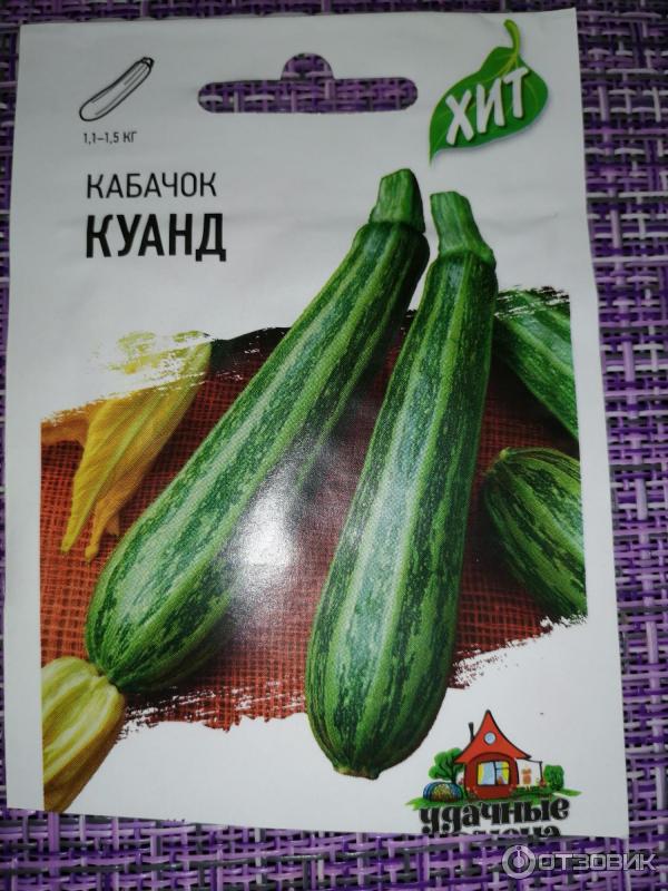 Семена Кабачок "Куанд", 10 шт. (1127113) - Купить по цене от 8.70 руб. Интернет 