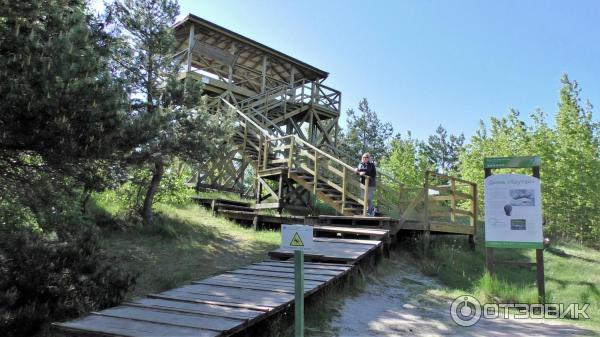 Экскурсия на Куршскую косу (Россия, Калининградская область)