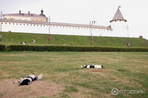 Смотровая площадка Преображенской башни (Россия, Казань) фото