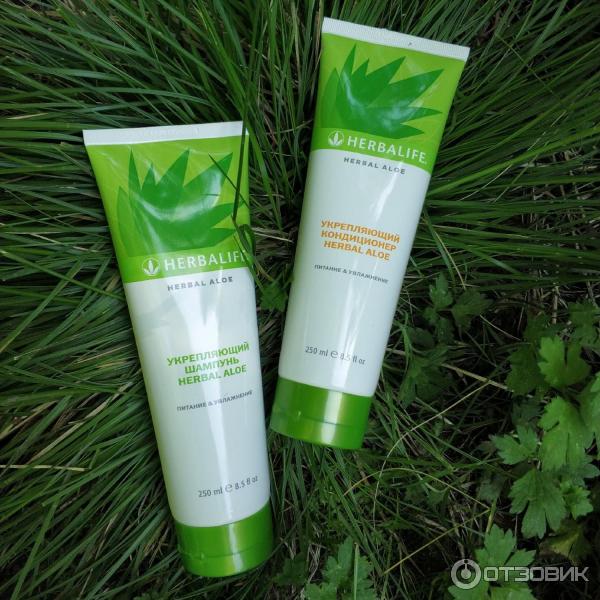 Укрепляющий шампунь Herbalife Herbal Aloe Питание и увлажнение фото