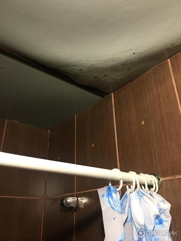 Куда без грибов. Они повсюду