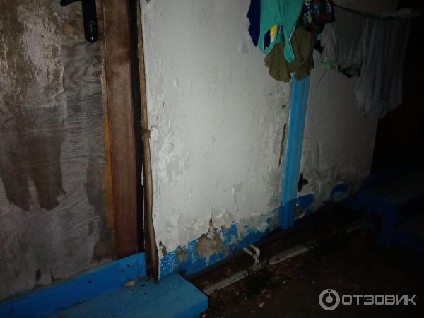 Сын назвал это Заброшкой