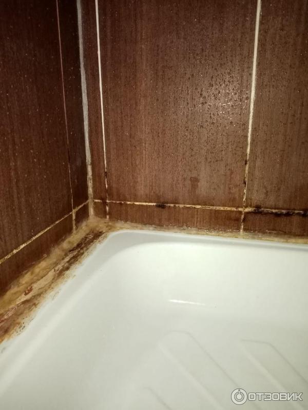 Опять грибок