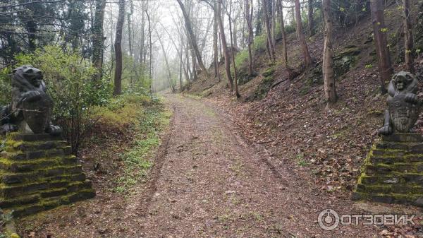 Экскурсия по г. Бахарах (Германия) фото