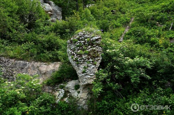 Савранская канатная дорога (Россия, ст. Даховская) фото