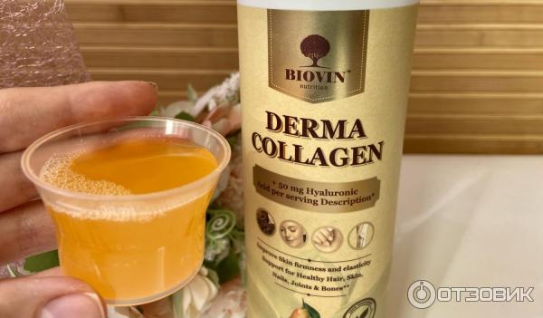 Коллаген Biovin Nutrition Derma фото