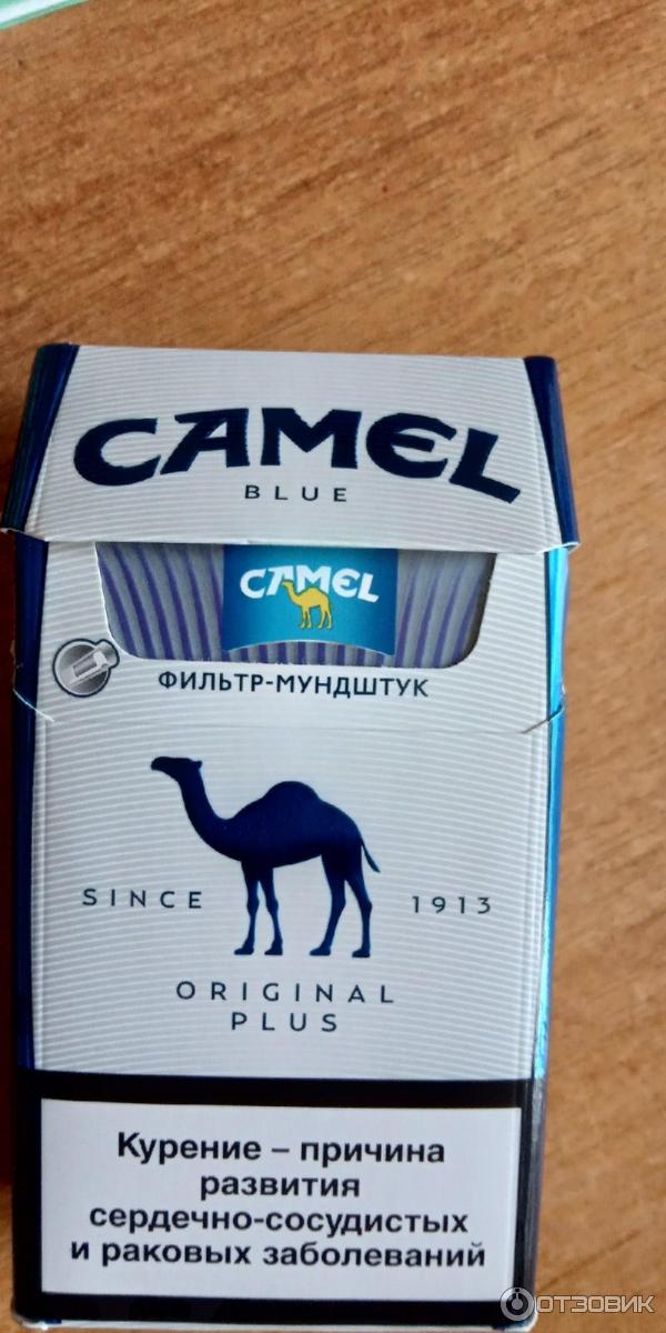 Кэмел сотку. Сигареты кэмел Original Blue. Camel Blue оригинал. Кэмел сигареты 100мм. Camel Premium Black сигареты.