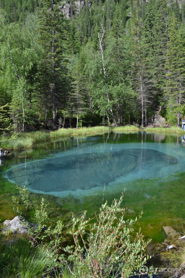 База отдыха Хан Алтай (Россия, республика Алтай, Акташ) фото