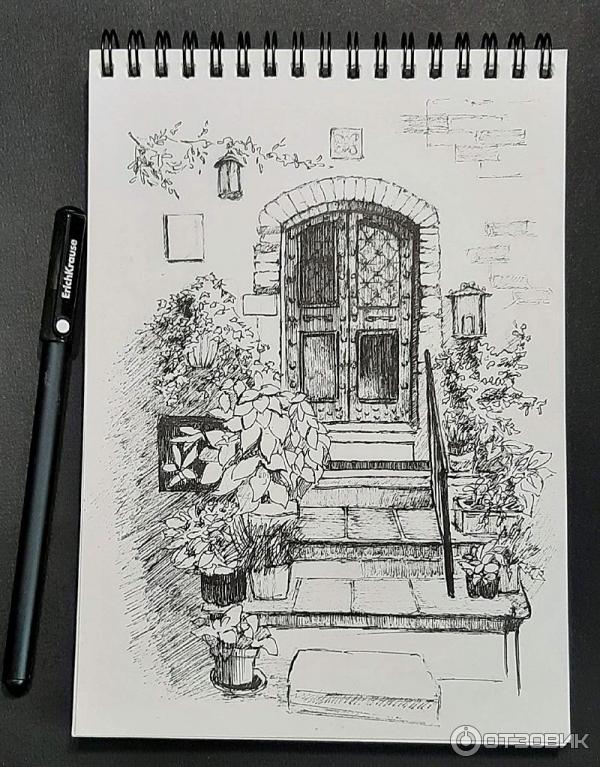 Рисунок с бесплатного мастер класса, рисунок ручкой