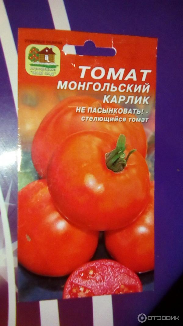 Монгол карлик помидор отзывы описание сорта. Семена семена помидоры Монгол карлик. Томаты стелющийся карлик. Помидоры карликовый Монгол.