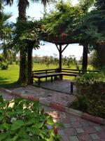 Отель Arancia Resort Hotel 5* (Турция, Алания) фото