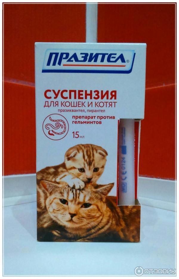 Празител для кошек инструкция