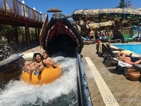 Pirates Inn Cactus (, ) |      !