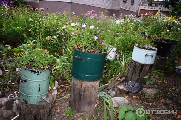 Экскурсия по г. Нижний Новгород (Россия, Нижегородская область) фото