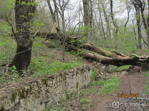 Экскурсия по г. Железноводск (Россия, Ставропольский край) фото