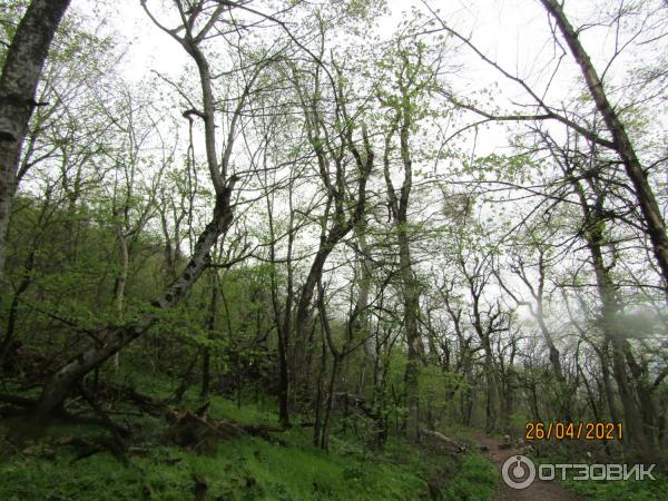 Экскурсия по г. Железноводск (Россия, Ставропольский край) фото