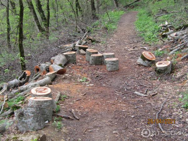 Экскурсия по г. Железноводск (Россия, Ставропольский край) фото