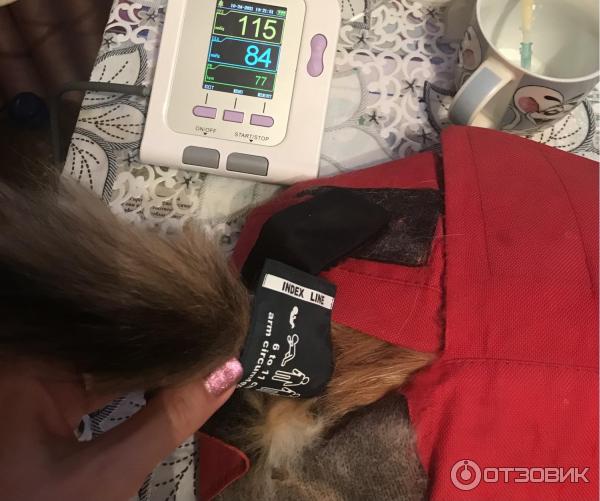 Ветеринарный тонометр contec08a-vet