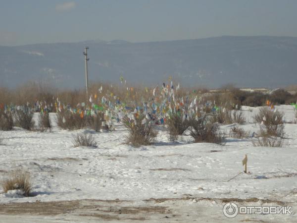 Экскурсия в Иволгинский дацан от фирмы Baikallike (Россия, Улан-Удэ) фото