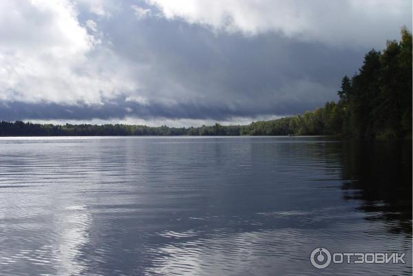 Озеро Велье (Россия, Новгородская область) фото