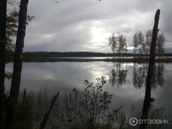 Озеро Велье (Россия, Новгородская область) фото