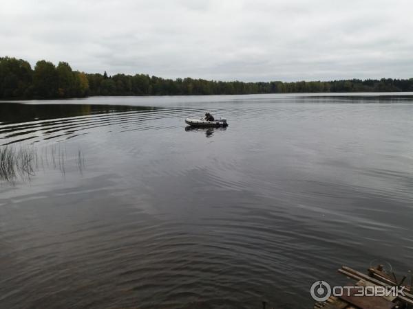 Озеро Велье (Россия, Новгородская область) фото