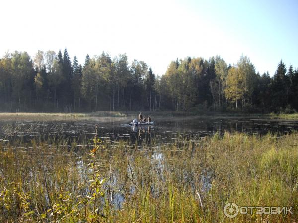 Озеро Велье (Россия, Новгородская область) фото