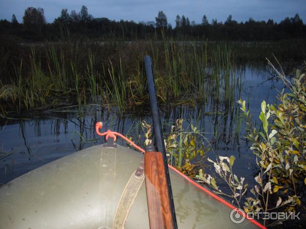 Озеро Велье (Россия, Новгородская область) фото